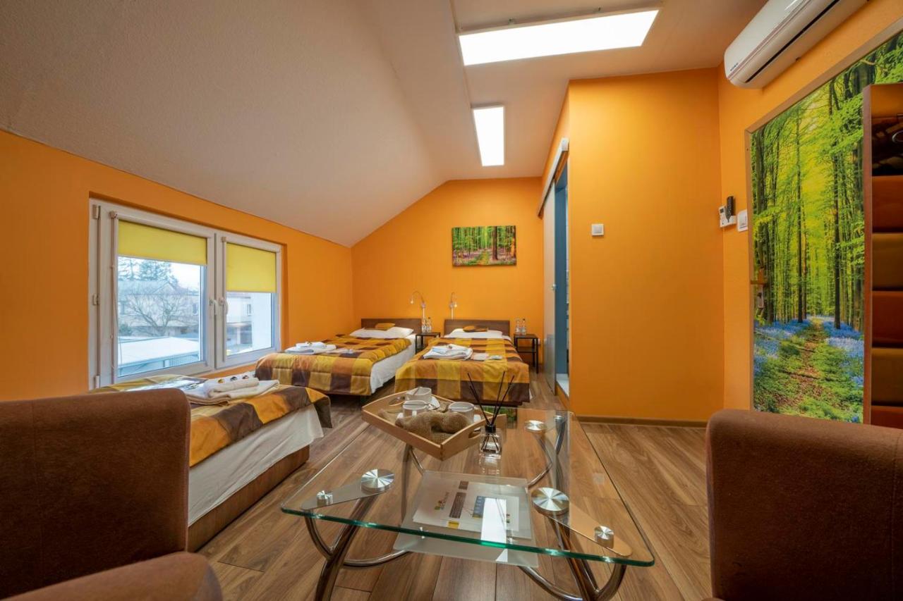 Fortisline Pokoje Z Klimatyzcja Sauna Apartment Ополе Екстериор снимка