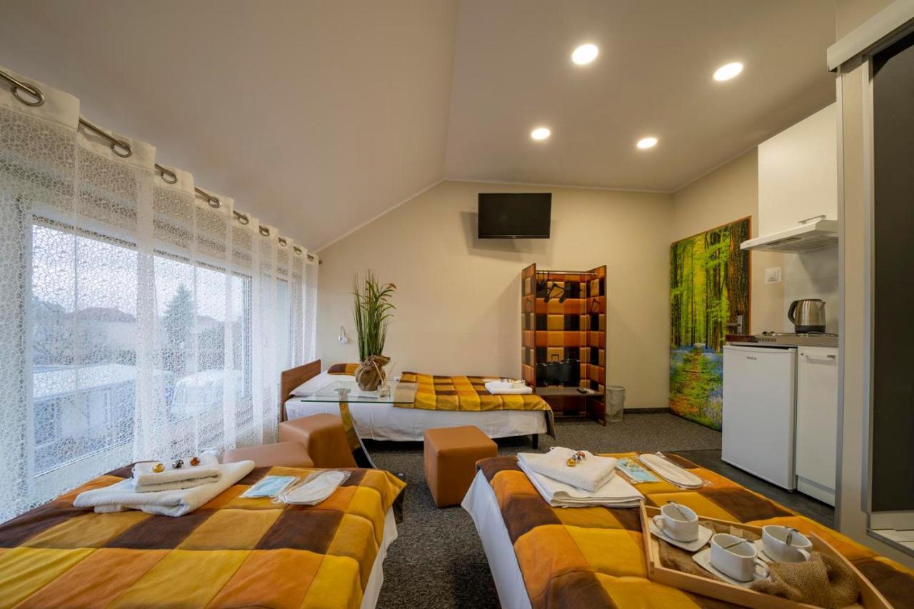 Fortisline Pokoje Z Klimatyzcja Sauna Apartment Ополе Екстериор снимка